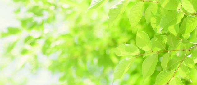 何が社員を動かすのか？